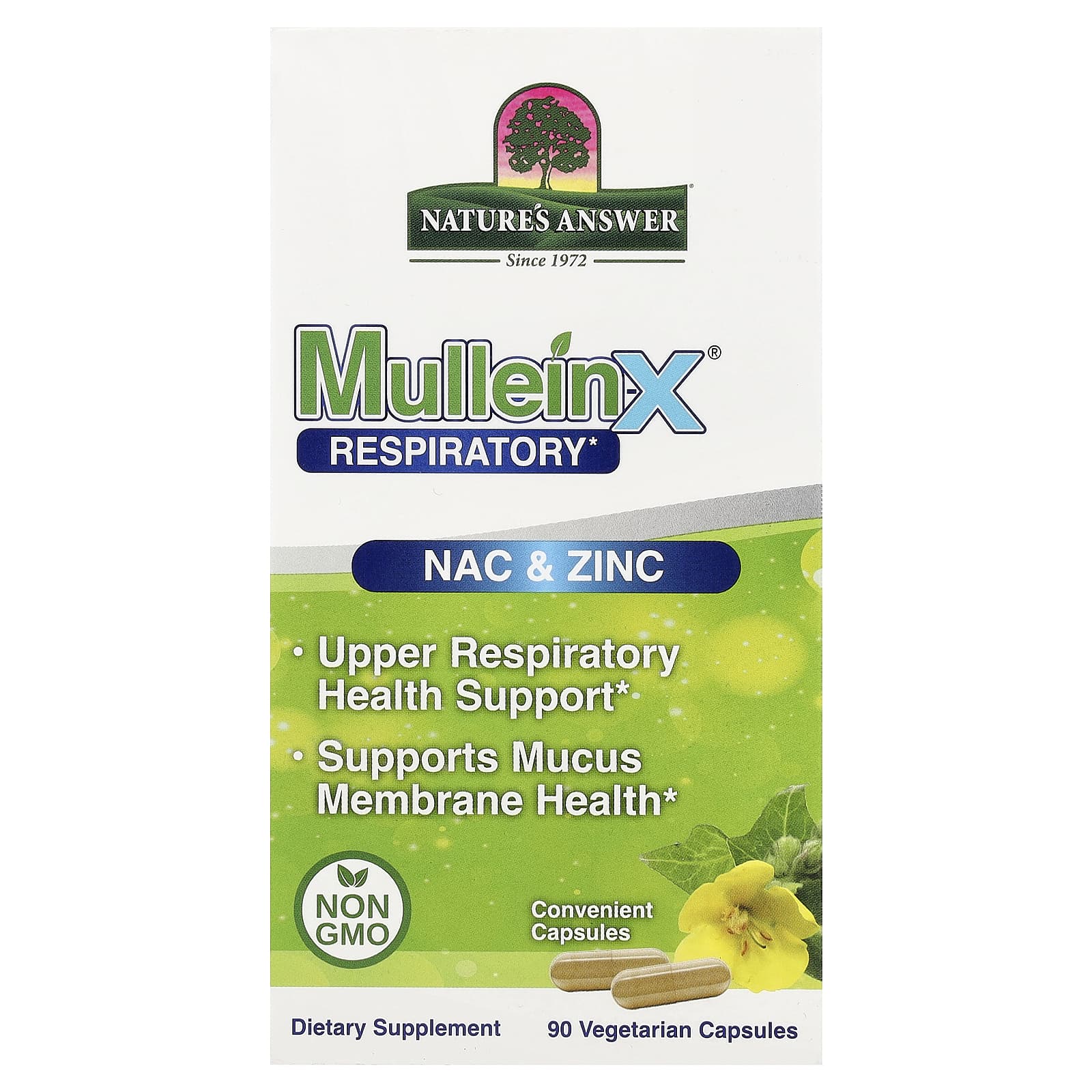 123ed638658c9798 Nature's Answer, MulleinX® Respiratory, NAC & Zinc, 90 Vegetarian Capsules - Image 1