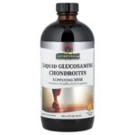 Nature's Answer, Liquid Glucosamine Chondroitin, Orange, 16 fl oz (480 ml)