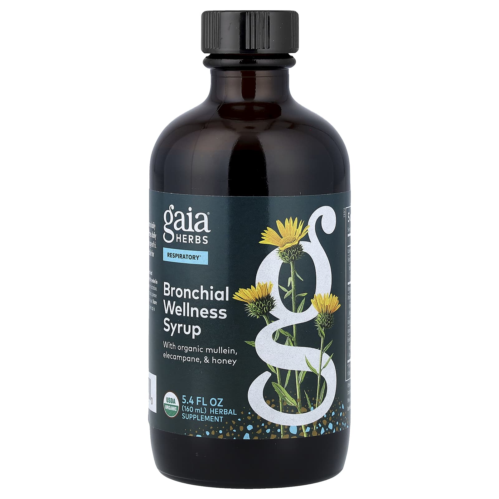 864f0fafbff2b928 Gaia Herbs, Bronchial Wellness Syrup, 5.4 fl oz (160 ml) - Image 1