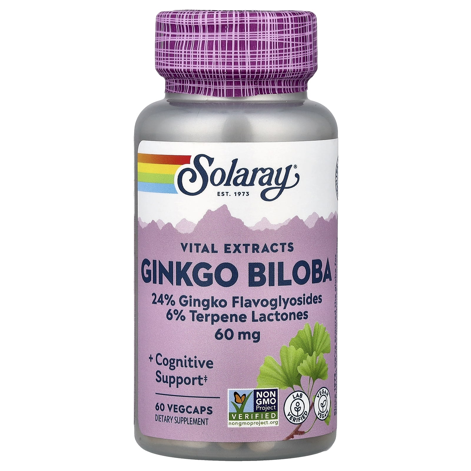 e4b3ce2d2641ce45 Solaray, Vital Extracts, Ginkgo Biloba, 60 mg, 60 VegCaps - Image 1