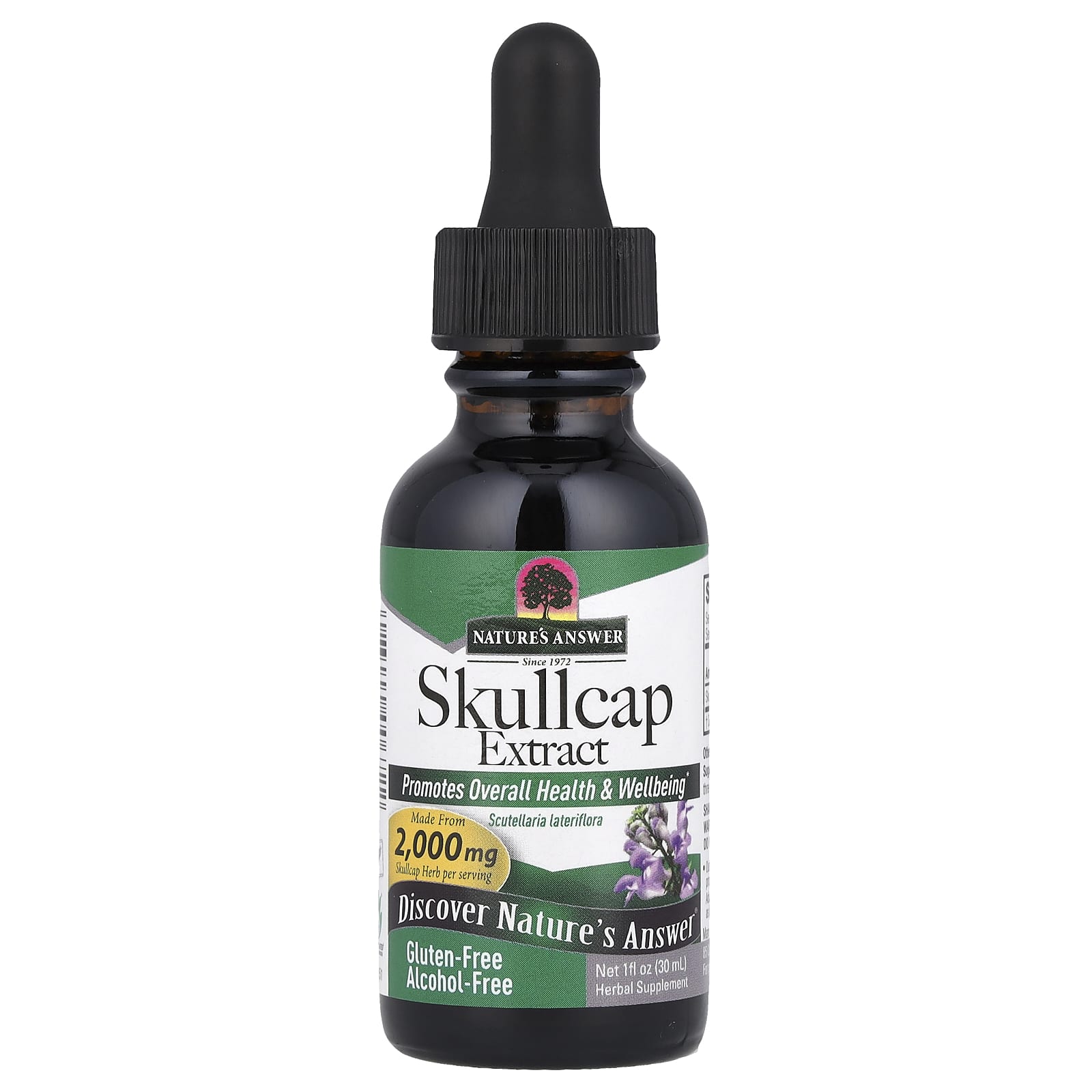 ec128a1d1d813989 Nature's Answer, Skullcap Extract, Alcohol-Free, 665 mg , 1 fl oz (30 ml) - Image 1
