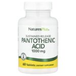NaturesPlus, Pantothenic Acid, Sustained Release, 1,000 mg, 60 Tablets